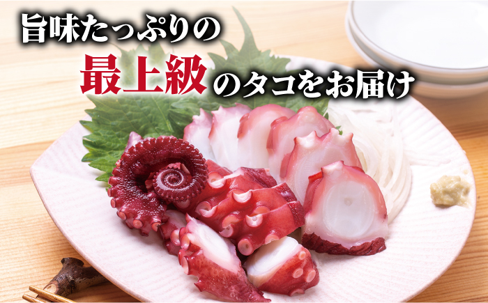 【旨味た～っぷりの最上級タコ】 五島 浜茹で 真タコ 冷凍 500g 魚介類 鮮魚 【カミティバリュー】 [RBP017]