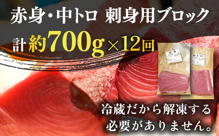 【全12回定期便】【ながさき水産業大賞受賞！！】五島列島産 養殖 生本かみまぐろ 赤身 中トロ ブロック 計約700g 魚介類 鮮魚 まぐろ 【カミティバリュー】 [RBP069]