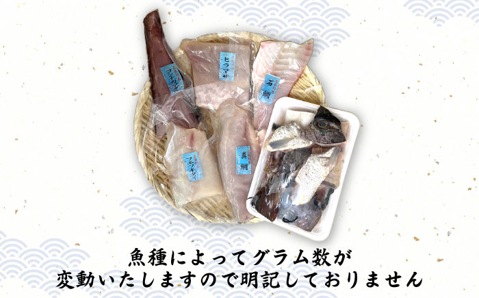 【下処理済】【冷蔵】 五島列島 鮮魚ボックス 5種 魚介類 鮮魚 【シャイニンググループ】 [RBR001]