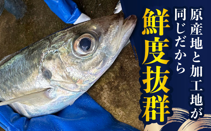 【五島列島の海の幸をお届け】干物セット 約1kg 3～4種 魚介類 【有福水産】 [RBV002]
