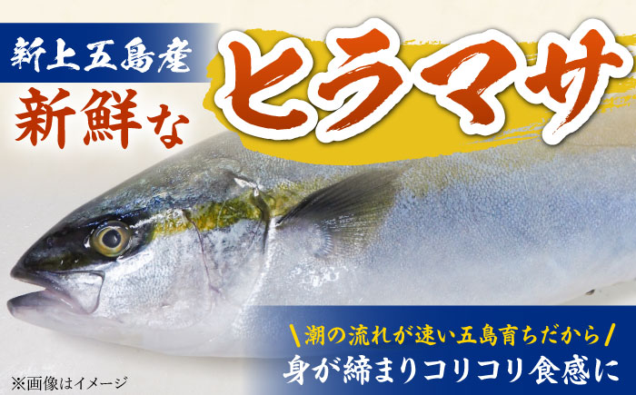 【五島列島直送】ヒラマサ漬け丼(海鮮丼) 80g×10食　魚 海鮮 漬け丼 新鮮 国産 魚介 長崎 五島 上五島【有福水産】 [RBV005]