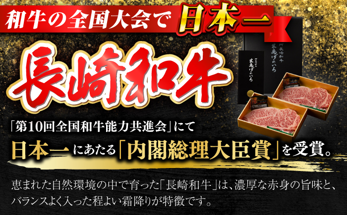 【全6回定期便】【日本一の和牛】長崎和牛 出島ばらいろ 特選霜降 サーロイン ステーキ たっぷり500g以上（約250g×2枚） 【合同会社　肉のマルシン】 [RCI012]