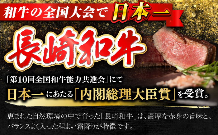 【訳あり】 長崎和牛 ヒレ サイコロステーキ 計300g 【合同会社　肉のマルシン】 [RCI052]