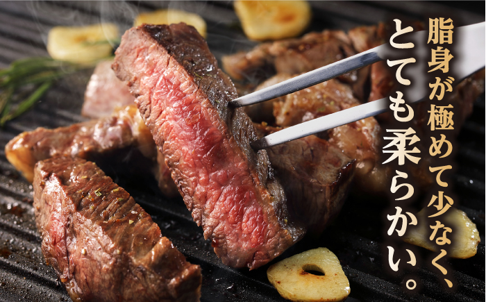 【全6回定期便】長崎和牛 ヒレ ステーキ 約180g×2枚 肉 牛肉 【肉の牛長】 [RCJ008]