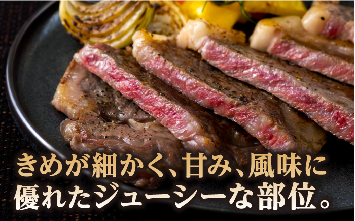 【全6回定期便】長崎和牛 サーロイン ステーキ 約200g×2枚 牛肉 【肉の牛長】 [RCJ014]