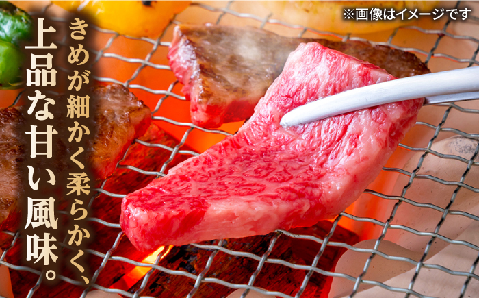 【全12回定期便】長崎和牛 焼肉用 ロース 約400g 牛肉 小分け 【肉の牛長】 [RCJ018]