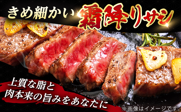 【全6回定期便】 長崎和牛 サーロイン ステーキ 250g×2 【KRAZY MEAT】 A5 A4 冷凍 和牛 肉 牛肉 BBQ [RCQ012]
