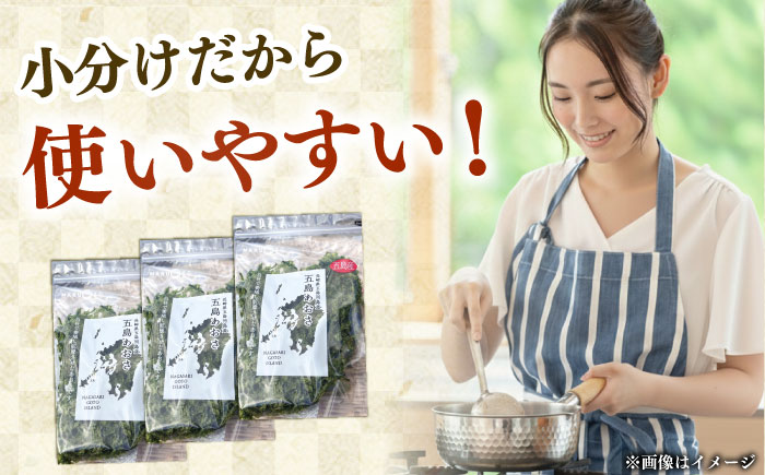 五島列島産あおさ　10ｇ×３袋 [RCS001]