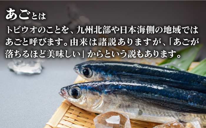 【全3回定期便】味付け三寸あご 70g×3袋 【TMN】 [RAA024]