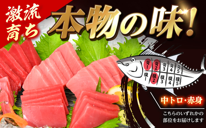 【濃厚で脂があま～い】金太郎 マグロ 冷凍 ブロック 中トロ 赤身 約1kg まぐろ 鮮魚 魚介類 【徳丸】 [RAC006]