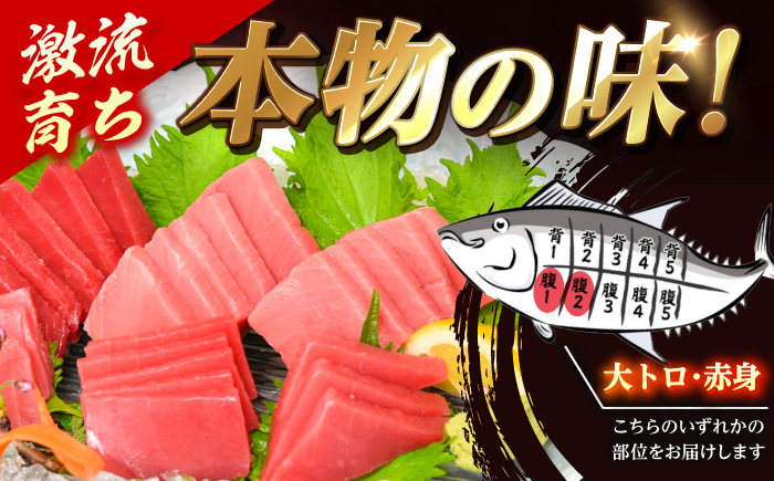 【濃厚で脂があま～い】金太郎 マグロ 腹側 冷凍 ブロック 大トロ 赤身 約800g まぐろ 鮮魚 魚介類 【徳丸】 [RAC008]