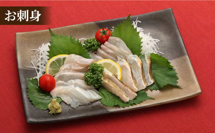 【12/18入金分まで年内発送】【幻の超高級魚をご家庭で】 養殖 クエ まるごと 1.5kg×2尾 鮮魚 魚介類 【豊建設株式会社】 [RAE003]