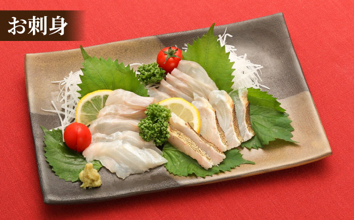 【幻の超高級魚をご家庭で】養殖 クエ まるごと 1.5kg×1尾【豊建設株式会社】 [RAE018]