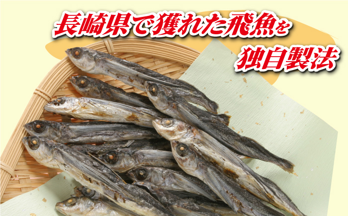 【12/18入金分まで年内発送】【だしのコク深さともちもち麺がベストマッチ！】あごだしで 長崎ちゃんぽん 14人前 調味料 だし /【カコイ食品】 [RAG002]