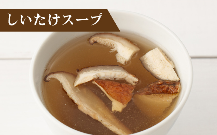 【飛魚だしのうま味】あごだしスープ 4種・長崎ちゃんぽんセット 調味料 だし 【カコイ食品】 [RAG006]