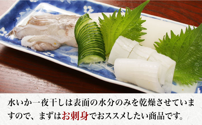 【ごはんのおかずにも、晩酌のお供にも！】 アオリイカ（水イカ）の一夜干しと 旬の干物 5種 セット 約10枚 鮮魚 魚介類 【有川町漁業協同組合】 [RAH001]