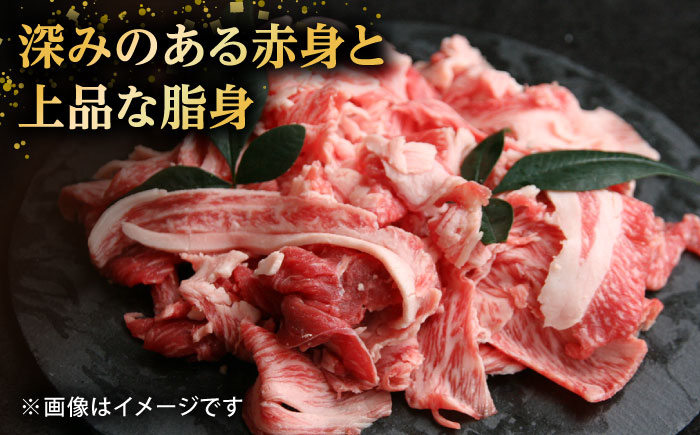 【希少で上品なお肉をご家庭で！】五島牛 バラ 小間切れ 2パック（800g）切り落とし 肉 牛肉 【ごとう農業協同組合】 [RAT003]
