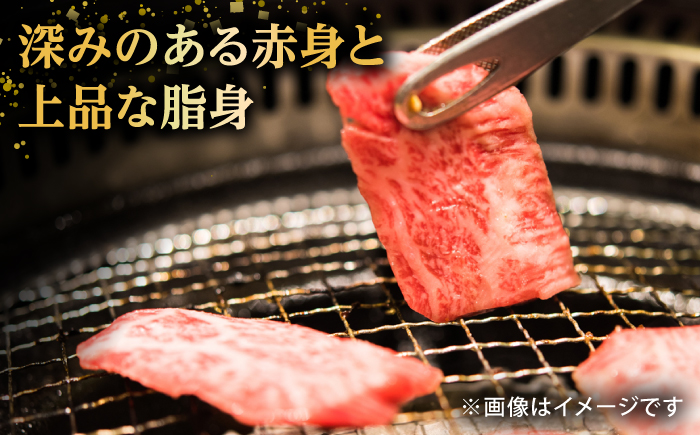 【全12回定期便】【希少で上品なお肉をご家庭で！】五島牛 焼肉セット 肩ロース バラ 700g 約4人前【ごとう農業協同組合】 [RAT008]