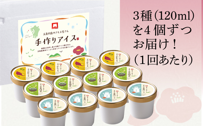 【全6回定期便】【五島の素材で作られた】手づくり アイス 3種 セット 計12個 お菓子 アイス 【マルマス】 [RAX018]