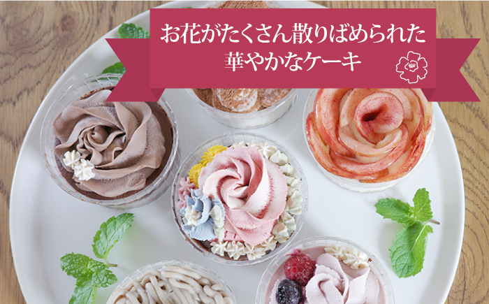 【小麦粉、砂糖、卵、乳製品不使用！】Raw カップケーキ 12個 お菓子 ケーキ 【holoholo】 [RAZ005]