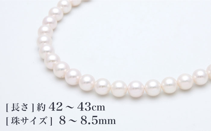 【真珠生産量全国1位の長崎からお届け！】 あこや真珠（8～8.5mm珠）花珠ネックレス＆ピアスセット 真珠 【園田真珠】 [RBB013]
