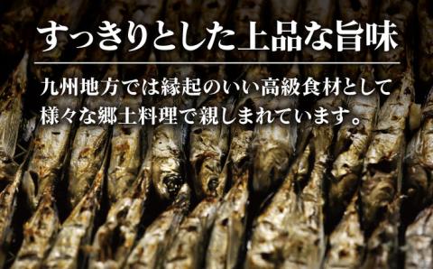 【五島列島産】 厳選 焼きあご 100g×12袋 調味料 だし 【新魚目町漁業協同組合】 [RBC004]