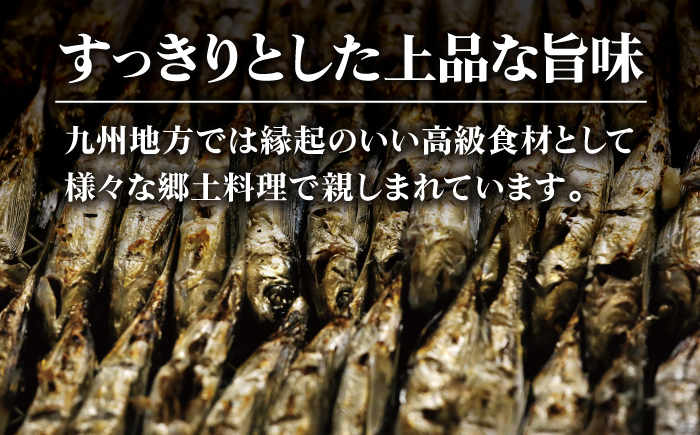 【年4回定期便】3ヶ月に1回お届け！ 厳選 焼きあご 100g×6袋 調味料 だし 【新魚目町漁業協同組合】 [RBC006]