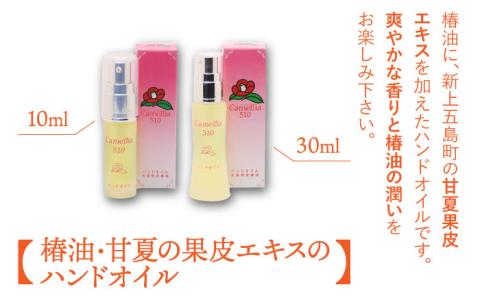 【お肌に潤いと保湿を】五島特産椿油 つばき セット B 椿 椿油 【新上五島町振興公社】 [RBG002]