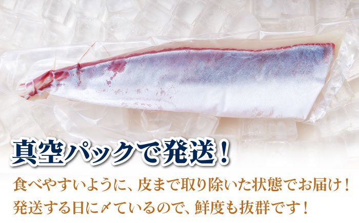 【期間限定】【12/27～1/3着】 ヒラス （ヒラマサ） アラ付き 養殖 下処理済 真空パック 刺身 ブロック（800g以上）【ひまわり】 [RBK006]