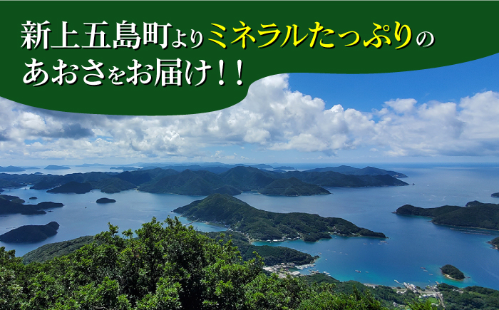 【全3回定期便】【五島列島よりお届け】 冷凍 生あおさ 50g×10袋 計500g 魚介類 鮮魚 あおさ 【上五島町漁業協同組合】 [RBN010]