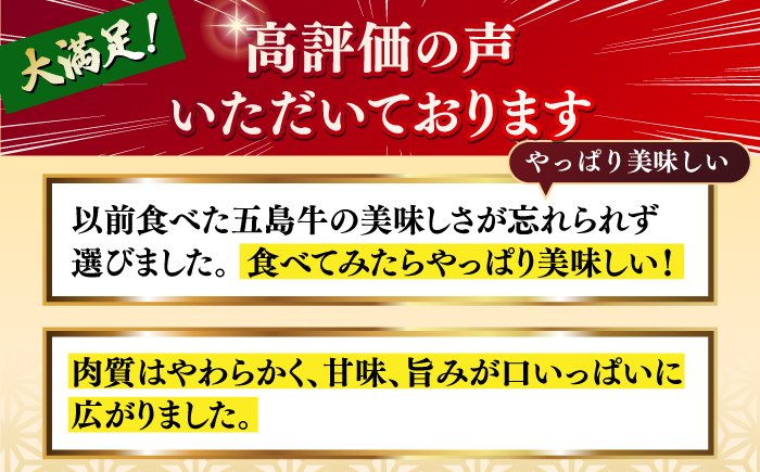 【幻の和牛！やわらかジューシー！】 五島牛 サーロイン ステーキ 約200g×3枚 3人前 肉 牛肉 【カミティバリュー】 [RBP008]