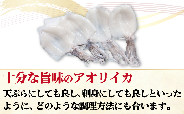 【肉厚！甘みが強い！イカの王様】新上五島町産 アオリイカ（水イカ） 刺身 冷凍 4枚 魚介類 鮮魚 【カミティバリュー】 [RBP012]