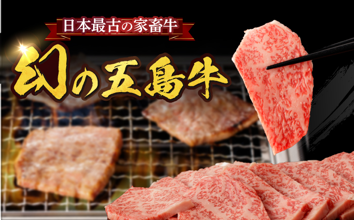 【全12回定期便】【幻の和牛！とろける肉汁がたまらない…！】 五島牛 特選 カルビ 600g 肉 牛肉 【カミティバリュー】 [RBP043]