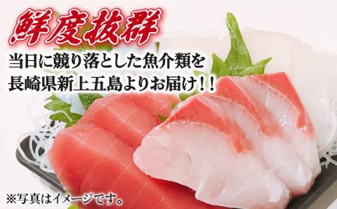 【カットするだけの新鮮お刺身！】 五島列島 お刺身 地魚 柵 セット 4～5人前 魚介類 鮮魚 【梅】【カミティバリュー】[RBP057]