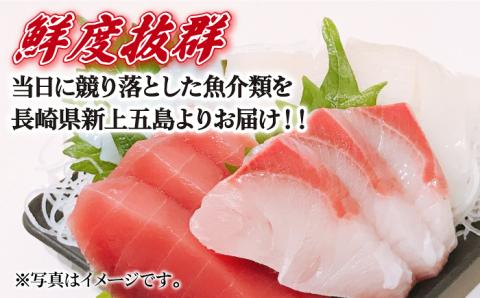 【カットするだけの新鮮お刺身！】 五島列島 お刺身 高級魚 柵 セット 4～5人前 魚介類 鮮魚 【極】【カミティバリュー】[RBP059]