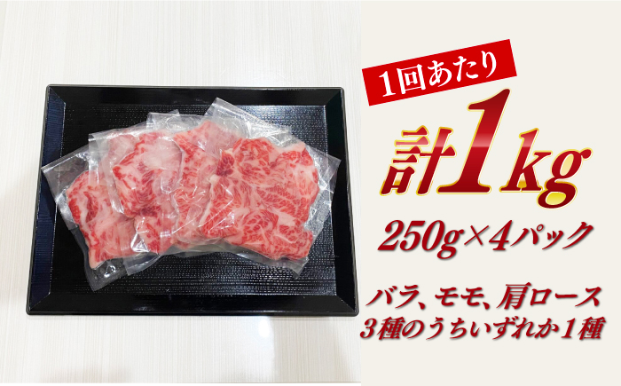 【全12回定期便】　【訳あり】 長崎和牛（バラ、モモ、肩ロースのいずれか）1kg 切り落とし 250g×4P 小分け 【株式会社時愉亭】 [RCE013]