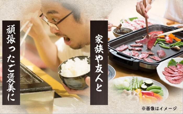 【全3回定期便】 【日本一の和牛】長崎和牛（A4ランク以上）カルビ焼肉用500g 【株式会社時愉亭】 [RCE018]