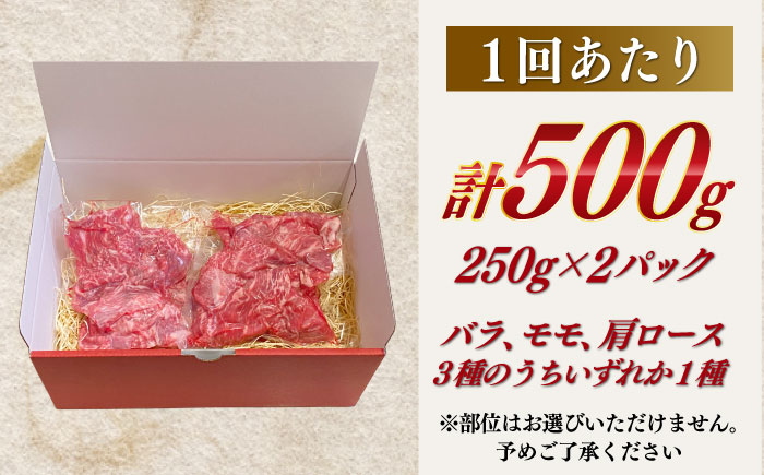 【全3回定期便】（【訳あり】長崎和牛（バラ、モモ、肩ロースのいずれか）500g 切り落とし 250g×2P 小分け 【株式会社時愉亭】 [RCE022]