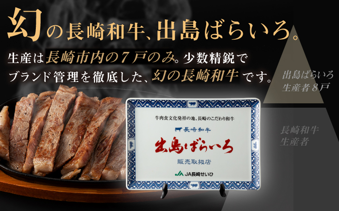 【全12回定期便】【日本一の和牛】長崎和牛 出島ばらいろ 特選霜降 サーロイン ステーキ たっぷり500g以上（約250g×2枚） 【合同会社　肉のマルシン】 [RCI013]