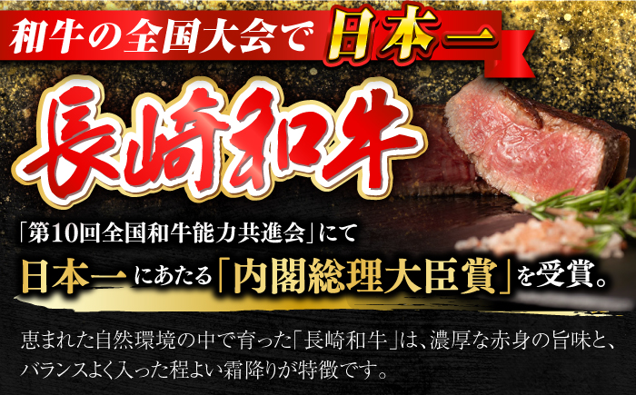 長崎和牛 ヒレ サーロイン セット 計400g以上 / 牛肉 肉 牛 和牛 国産牛 ステーキ 【合同会社　肉のマルシン】 [RCI050]