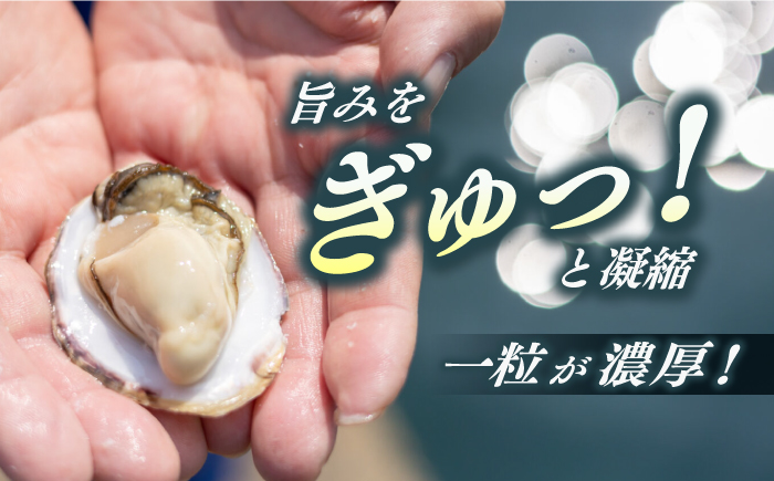 養殖カキ 五島小町　生食用 養殖 牡蠣　かき 殻付き 約2.6kg　【五島オイスター】 [RCN002]