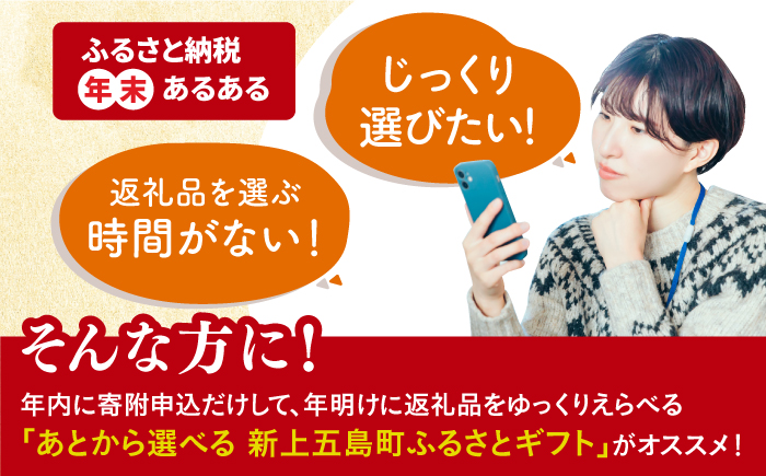 【あとから選べる】新上五島町ふるさとギフト 30万円分 和牛 五島うどん 鮮魚 海産物 年内発送 年内配送 あとから寄附 あとからギフト あとからセレクト 選べる寄付 選べるギフト あとから選べる 30万円 300000円 [RZZ019]