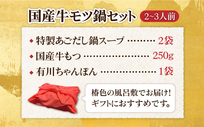 【ギフト対応】焼きあごだしのコクぶか～い旨味！ 国産 牛もつ鍋と有川ちゃんぽんセット【TMN】 [RAA044]