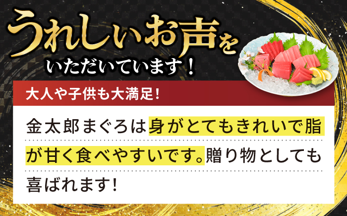 【濃厚で脂があま～い】金太郎 マグロ 冷凍 ブロック 中トロ 赤身 約1kg まぐろ 鮮魚 魚介類 【徳丸】 [RAC006]