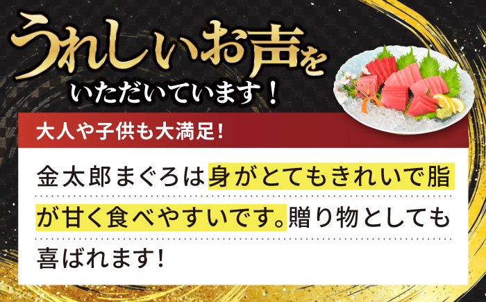 【激流育ち！】【部位は徳丸におまかせ】金太郎 マグロ  冷凍 ブロック 約1kg まぐろ 鮮魚 魚介類 【徳丸】 [RAC023]