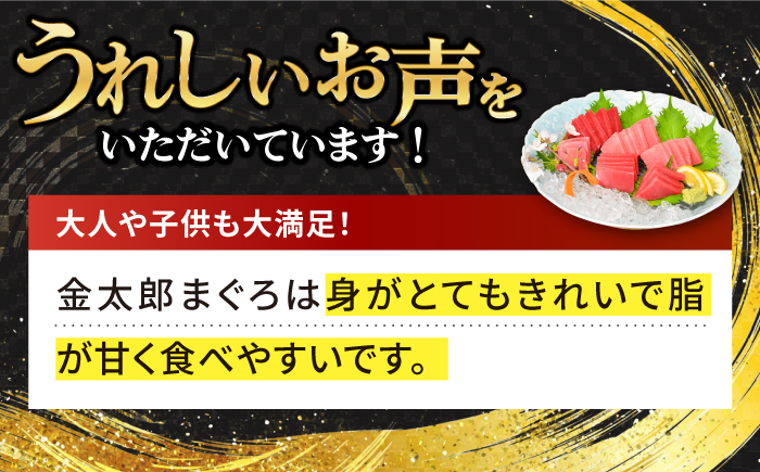 【訳あり】 金太郎 マグロ 冷凍 大トロ 約800g 【徳丸】 [RAC030]