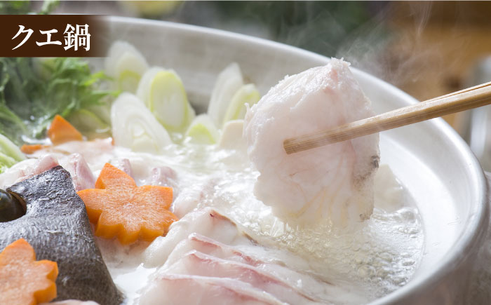 【12/18入金分まで年内発送】【幻の超高級魚をご家庭で】 養殖 クエ まるごと 1.5kg×2尾 鮮魚 魚介類 【豊建設株式会社】 [RAE003]