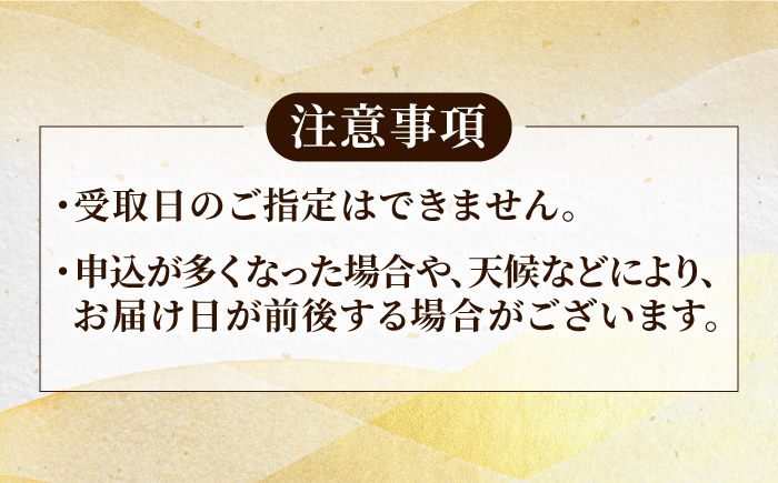 【全3回定期便】【五島列島産 幻の高級魚！】 クエ 鍋セット 4人前 鮮魚 魚介類 【豊建設株式会社】 [RAE012]