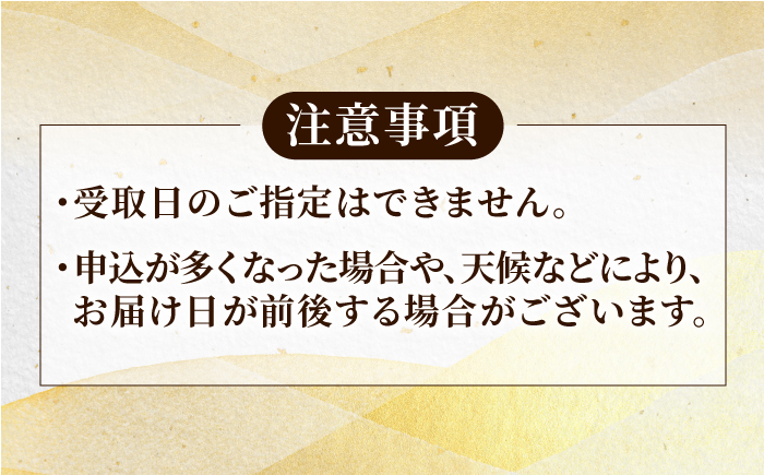 【全12回定期便】【五島列島産 幻の高級魚！】 クエ 鍋セット 4人前 鮮魚 魚介類 【豊建設株式会社】 [RAE014]