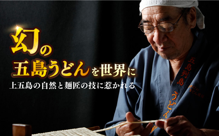 【人気商品の大容量◎】 五島手延うどん 300g×30袋 大容量 業務用 常備用 五島うどん【ますだ製麺】 [RAM031]